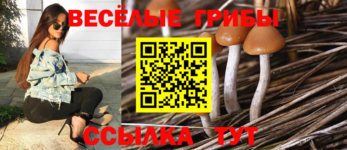 Карабулак  магазин  наркотиков  Галлюциногенные грибы Cubensis  Вход с VPN  Галлюциногенные грибы Cubensis 