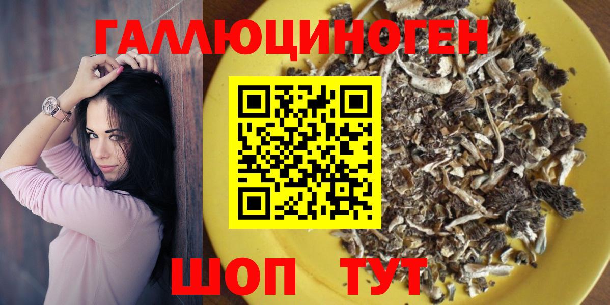 Псилоцибиновые грибы GOLDEN TEACHER Карабулак